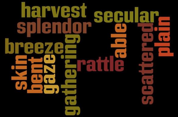 Wordle's words