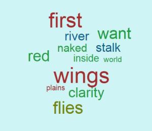 Wordle's words